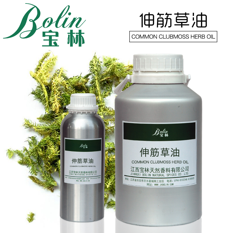 伸筋草油 伸筋草精油 狮子草油Common Clubmoss Herb oil